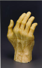 The first sculpture I ever carved a self portait of my hand